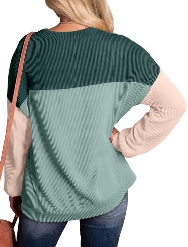 Women's Fall 2024 Color Block Long Sleeve Knitted Tunic Top